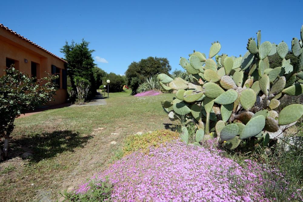 Residence Baia Salinedda Capo Coda Cavallo Esterno foto