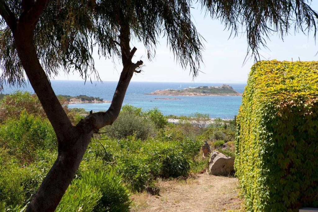 Residence Baia Salinedda Capo Coda Cavallo Camera foto